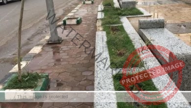تكثيف حملات النظافة والتجميل بالشوارع والمتنزهات العامة بنطاق محافظة الشرقية 