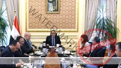 رئيس الوزراء يناقش رؤية " المقاولون العرب" للعمل خلال المرحلة المقبلة 