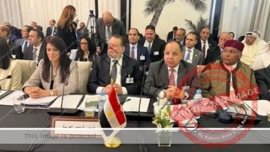 المشاط تُعلن استضافة مصر الاجتماعات السنوية للهيئات والمؤسسات المالية العربية العام المقبل
