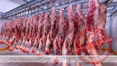 أسعار اللحوم فى الأسواق اليوم الأربعاء 12-4-2023