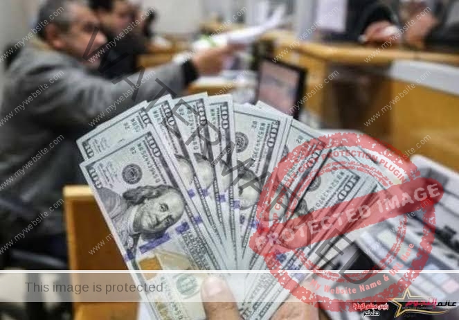 هبوط أسعار 7 عملات فى البنك الأهلي بعد الإجازة الثلاثاء 18/4/2023