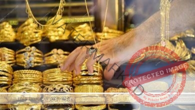 استقرار سعر الذهب في بداية تعاملات اليوم الأحد 23 أبريل 2023
