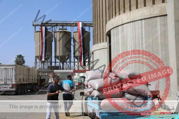 محافظ بني سويف: استلام أكثر من 22 ألف طن من القمح المحلي بالصوامع والشون 