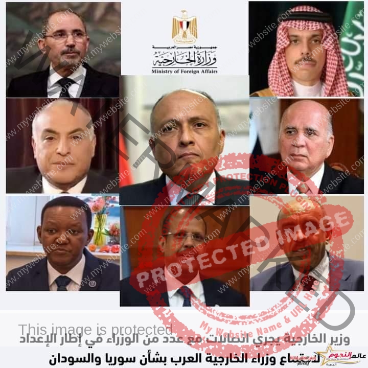 شكري يجري اتصالات هاتفية مع وزراء خارجية خارجية السودان والسعودية والعراق والجزائر والأردن وجيبوتي وكينيا
