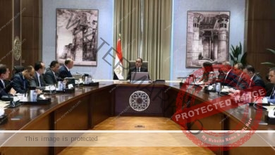 رئيس الوزراء يتابع مشروعات تطوير وإعادة إحياء عدد من المناطق بمحافظة القاهرة
