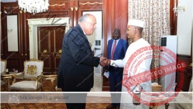 وزير الخارجية يلتقي الرئيس محمد إدريس ديبي