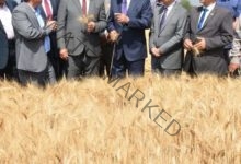 الهجان ورئيس جامعة بنها يشهدان موسم حصاد القمح بكلية الزراعة بمشتهر