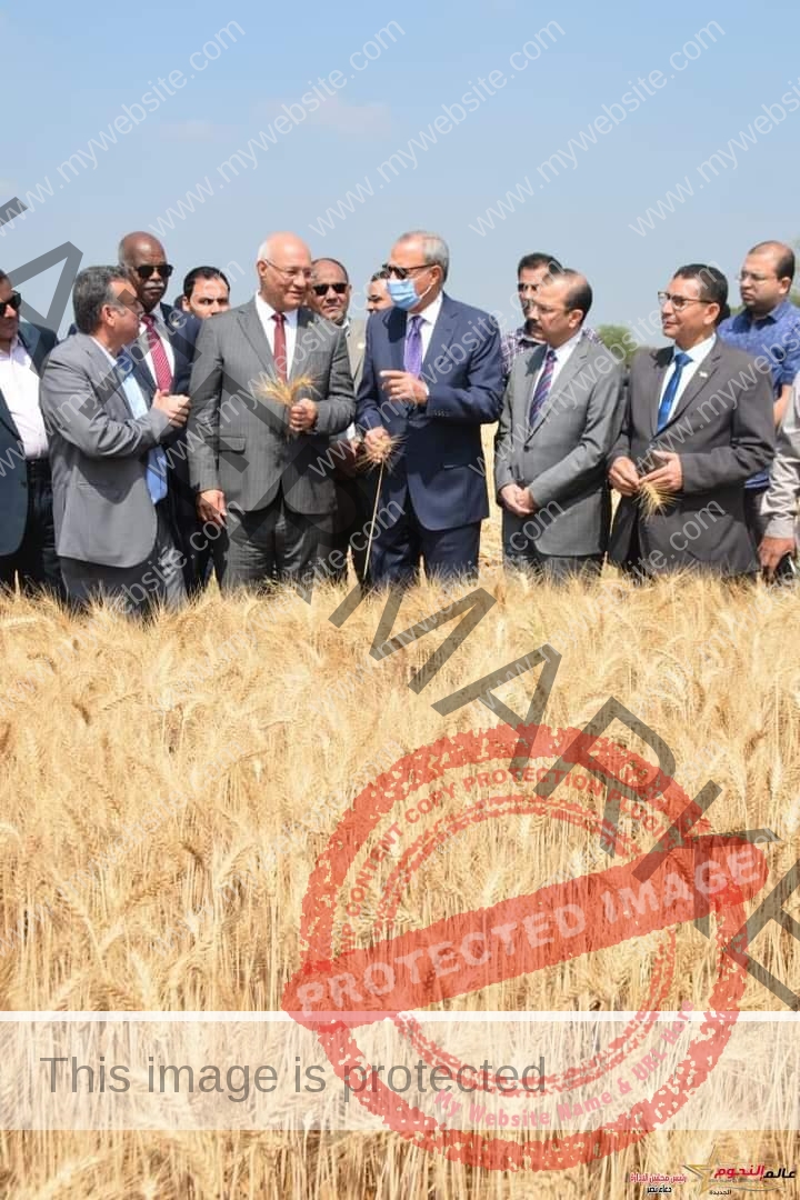 الهجان ورئيس جامعة بنها يشهدان موسم حصاد القمح بكلية الزراعة بمشتهر