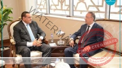 محافظ الإسكندرية يلتقي وزير التنمية لمتابعة توجيهات الرئيس في المشروعات التنموية