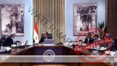 رئيس الوزراء يتابع جهود الهيئة المصرية للشراء الموحد وترتيبات الإعداد لإستضافة القاهرة النسخة الثانية