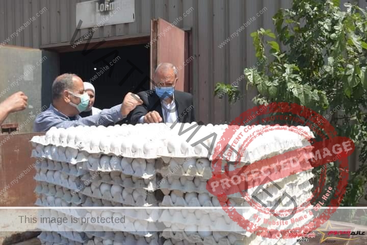 أكتفاء ذاتي ..  جولة ميدانية لمُتابعة مشروع الـ ٣٠ مليون بيضه بمدينة الخانكة