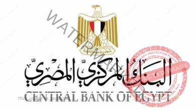 البنك المركزي المصري يُحدث قواعد الترخيص والرقابة والإشراف على شركات الصرافة