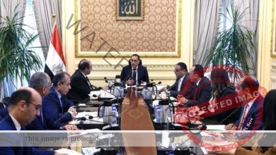 رئيس الوزراء يتابع موقف شركة النصر للتصدير والاستيراد "جسور"