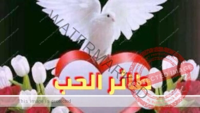طائر الحب... بقلم: د. عبير منطاش