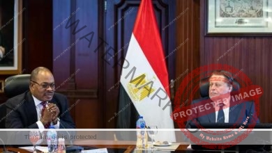 محافظ البنك المركزي المصري يستقبل وفدًا من مجموعة بنك التنمية الأفريقي 