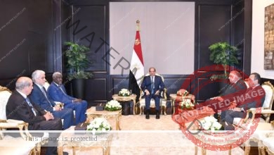 الرئيس السيسي يلتقى موسى فقيه رئيس مفوضية الاتحاد الأفريقي