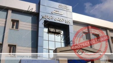 إنقاذ حياة طفل بـ مستشفى برج البرلس بكفر الشيخ بعد إصابته بجرح نافذ