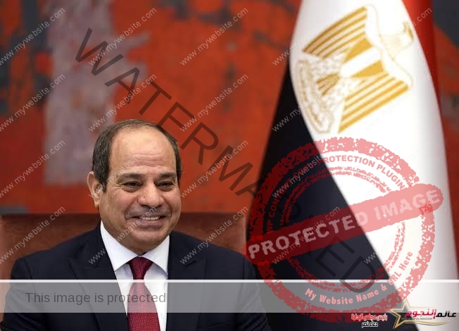الرئيس السيسي: يقدم التهنئة للشعب المصري بثورة 30 يونيو