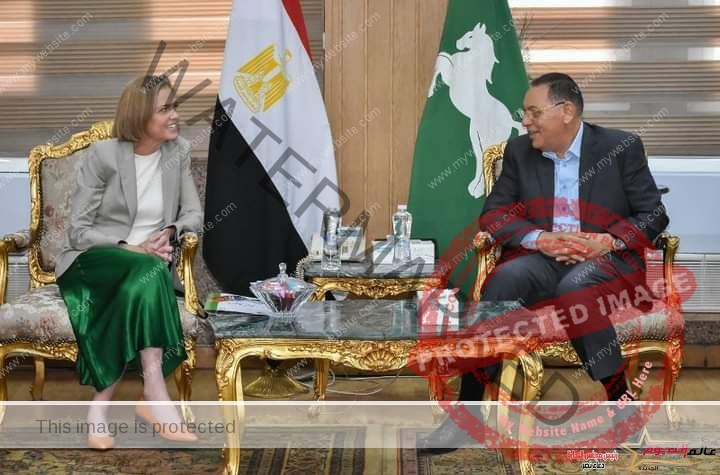 محافظ الشرقية يلتقي سفيرة دولة النرويج لدى القاهرة 