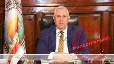 وزير الزراعة صادرات مصر الزراعية تتجاوز 4.1 مليون طن خلال 5 أشهر  