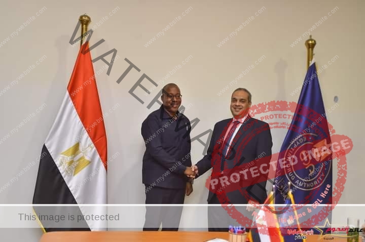رئيس هيئة الدواء المصرية يلتقي المدير التنفيذي للمجلس القومي للرقابة على الأدوية بناميبيا