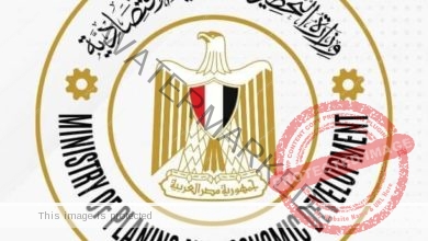 لأول مرة .. وزارة التخطيط تصدر بيانات تاريخية للناتج المحلي الإجمالي تمتد لنحو أربعين عامًا في مصر