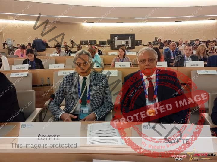 الوزير حسن شحاتة والسفير ايهاب جمال الدين يشاركان في "قمة عالم العمل" بجنيف