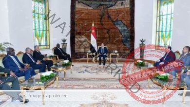 الرئيس عبد الفتاح السيسي يستقبل نائب رئيس مجلس السيادة السوداني