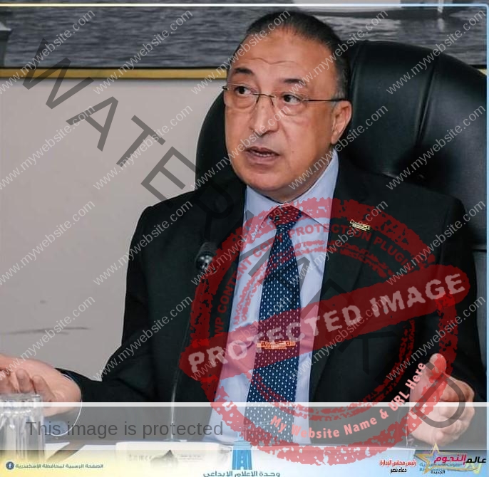 محافظ الإسكندرية يبحث مع رئيس البنك الزراعي المصري تعزيز سبل التعاون