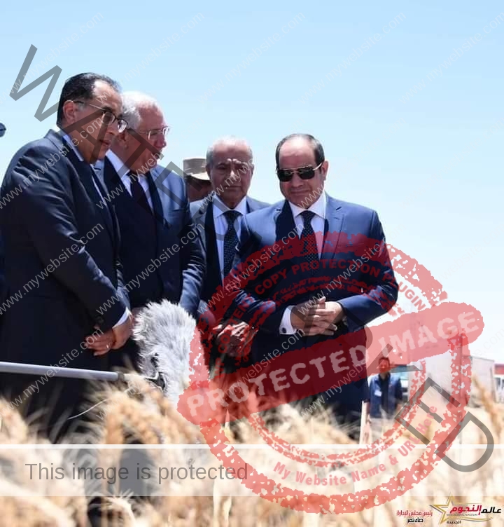 ٣٠ يونيو وضعت الزراعة على أولوية الدولة المصرية