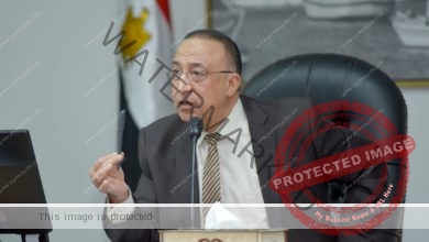 محافظ الإسكندرية يهنئ السيد رئيس الجمهورية والشعب المصرى والأمة الإسلامية بحلول عيد الأضحى المبارك