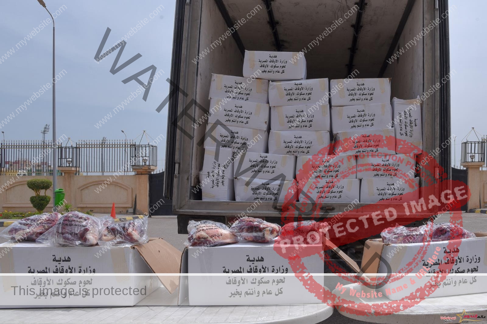 محافظ الإسكندرية يوجه السكرتير العام بمتابعة تسلم 2 طن لحوم صكوك أضاحى لتوزيعها على القرى الأكثر احتياجا