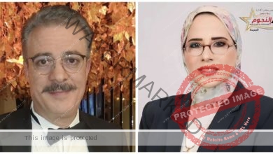 أشرف المحلاوي يدعم "إيمان الجنيدي" في انتخابات النقابة على مقعد عضو المجلس