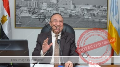 محافظ الإسكندرية يهنئ فخامة رئيس الجمهورية بمناسبة الذكرى العاشرة لثورة ٣٠ يونيو