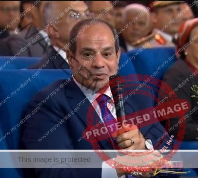 رؤية الرئيس السيسي في مسار الإنقاذ الوطني لمواجهة تحديات الأمن القومي وحماية حياة المصريين