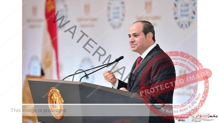 رؤية الرئيس السيسي في مسار الإنقاذ الوطني لمواجهة تحديات الأمن القومي وحماية حياة المصريين