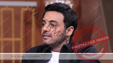 عمرو محمود ياسين يرد على برنسة عبد الغني: بتاعك في الحفظ والصون