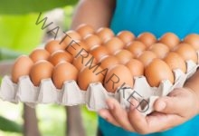 أسعار كرتونة البيض اليوم الخميس 20 يوليو 2023 في بورصة الدواجن
