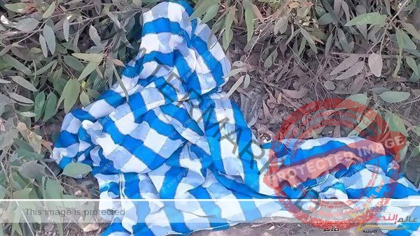 سبب الوفاة "إسفكسيا الغرق".. دفن جثة طفل لقى مصرعه غرقا بطما شمال محافظة سوهاج