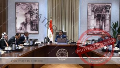 رئيس الوزراء يتابع مع الرئيس التنفيذي لوكالة الفضاء المصرية عددًا من مشروعات الوكالة