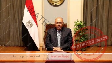 وزير الخارجية يلقي بيان مصر في جلسة النقاش العاجل حول حوادث حرق القرآن الكريم