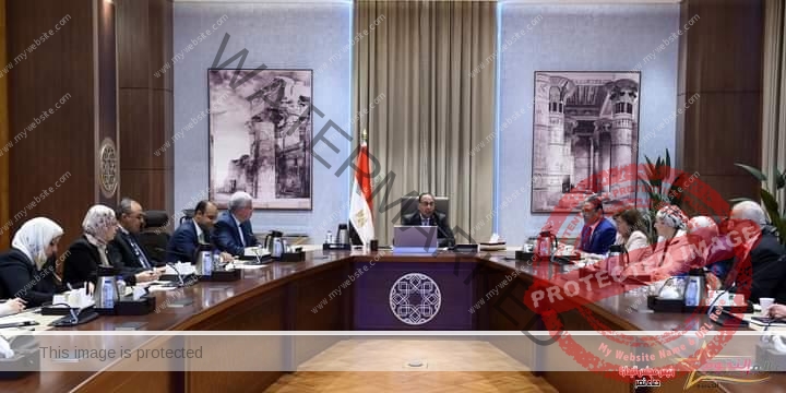 رئيس الوزراء يستعرض الرؤية المقترحة لتطوير منطقة جنوب القاهرة التاريخية