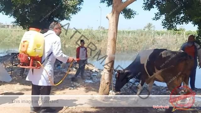 بيطري الشرقية يُنظم قافلة علاجية بيطرية شاملة بالمجان بكفر إبراهيم العايدى مركز بلبيس