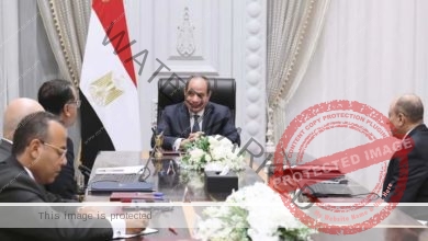 السيسي يجتمع مع رئيس مجلس الوزراء ووزير الطيران المدني