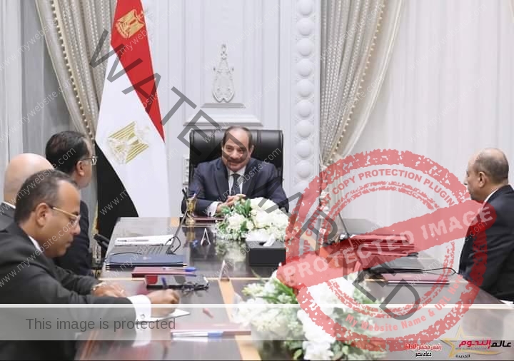 السيسي يجتمع مع رئيس مجلس الوزراء ووزير الطيران المدني