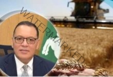 استمرار توريد محصول القمح لصوامع وشون محافظة الشرقية