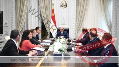 الرئيس السيسي يعقد اجتماعًا مع رئيس الوزراء 