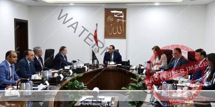 رئيس الوزراء يتابع ما يتم منحه من تيسيرات ومحفزات للمصريين بالخارج في مختلف القطاعات