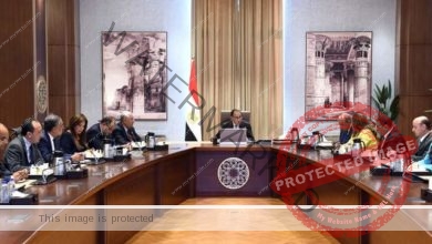 رئيس الوزراء يتابع سير العمل بمدينة الأثاث بدمياط وسبل الاستفادة من مزاياها التنافسية