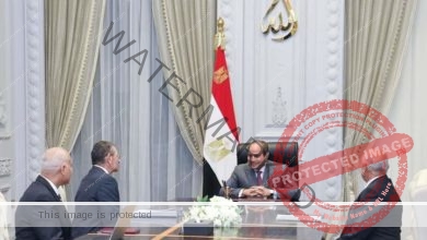 السيسي يجتمع مع اللواء محمد أمين مستشار رئيس الجمهورية للشئون المالية 